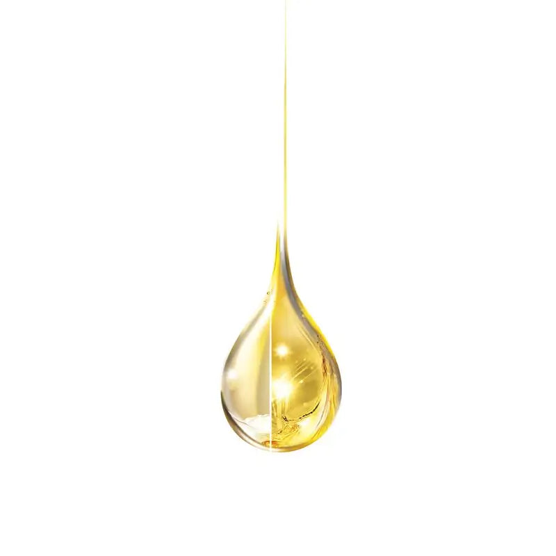 Garnier Olia Coloration Permanente Sans Ammoniaque, Odeur Agréable Aux Huiles Florales D'Origine Naturelle - Noir Naturel 3.0