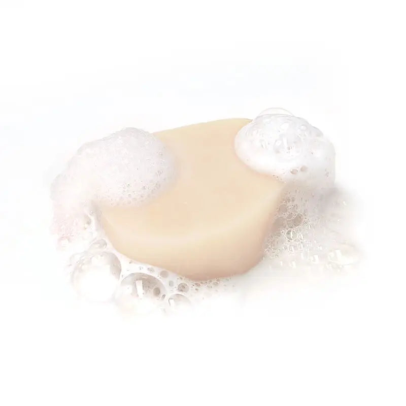 Garnier Original Remedies Solid Shampooing - Coconut & Aloe Vera Organic Pour cheveux normaux, racines grasses