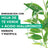 Garnier Skin Active Mask Tissu Hydra Bomb Masque tissu hydratant et matifiant à l'acide hyaluronique et au thé vert