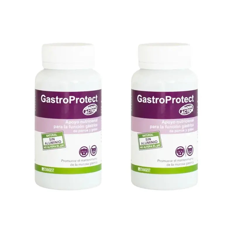 Gastroprotect Stangest, 2X30 Comprimés