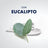 Gillette Series Mousse à raser rafraîchissante à l'eucalyptus, 250 ml