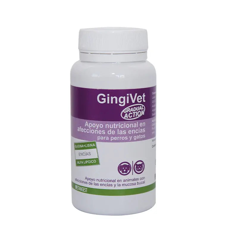 Stangest Gingivet 60 Tablets