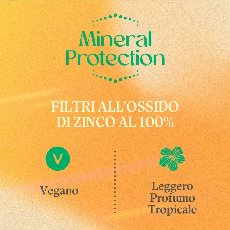 Pinceau minéral Hawaiian Tropic Ht