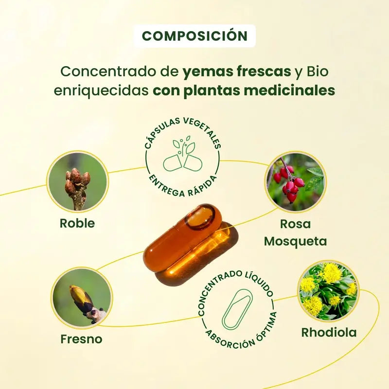 Herbalgem Gemmocaps Stress Protect Mood +, 30 gélules