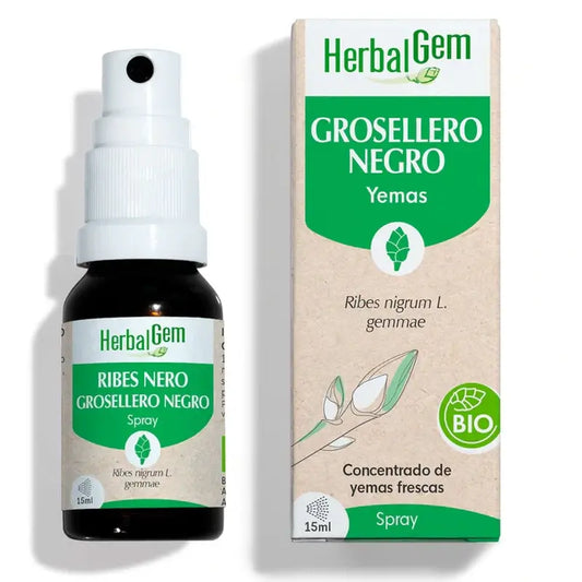 Herbalgem Black Currant, 15ml