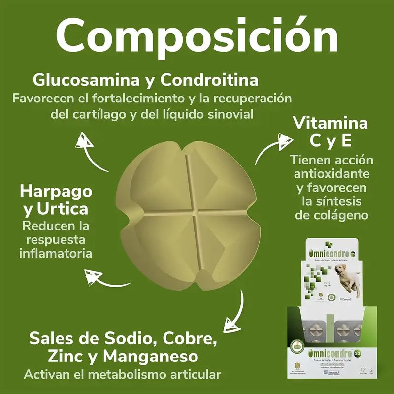 Omnicondro 20 mg, 300 comprimés