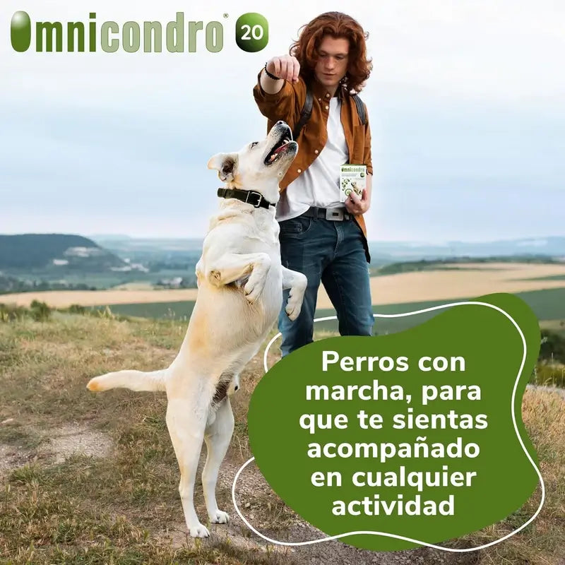 Omnicondro 20 Chondroprotecteur Chiens, 60 Comprimés