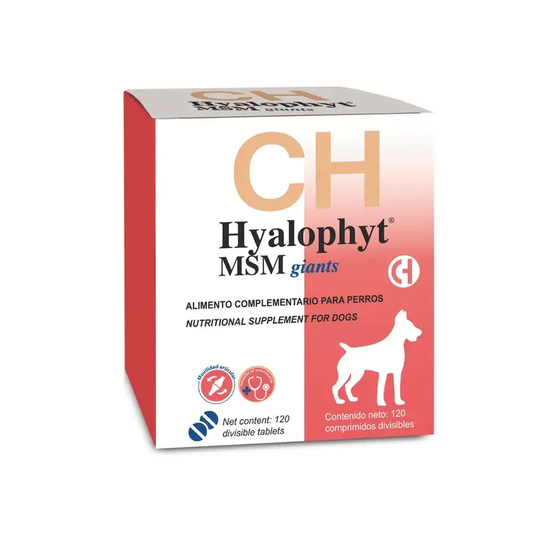 Chemical Hyalophyt MSM Giants, 120 comprimés
