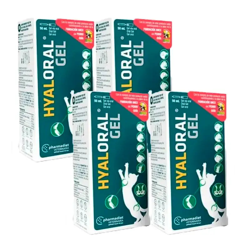 Gel Hyaloral pour chiots et chats, paquet de 4 x 50 ml