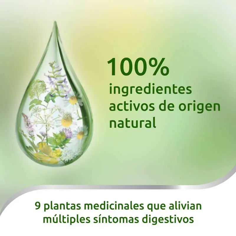 Iberogast gouttes orales 100 ml