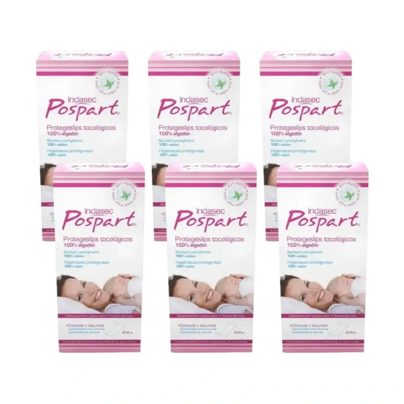 Indasec Pospart Protegeslip , 6 x 24 unités