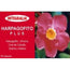 Integralia Harpagofito Plus 60 Capsules