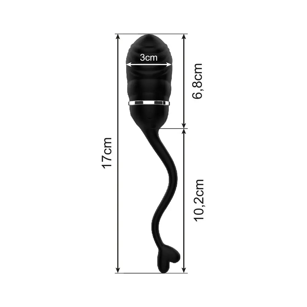 Jouets pour couples Intense Oeuf vibrant rechargeable 10 modes de vibration