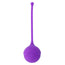 Intense Health & Fun Kisha Fit One Silicone Kegel Purple