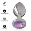 Intense Anal Plug Metal Aluminium With Violet Crystal Size S