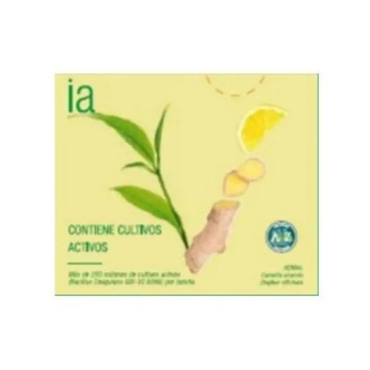 Interapothek Green Tea Ginger Infusions, 20 units
