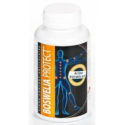 Intersa Boswellia Protect 500Mg. 45Pearls