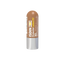 Isdin Lip Protector HV 30Spf 4 Gr