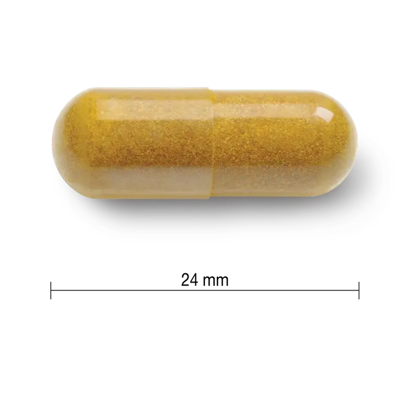 Jamieson Curcumin Curcuma 550Mg , 60 gélules