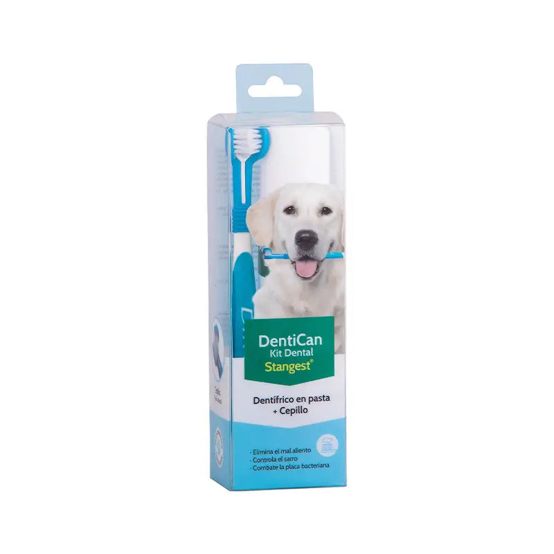 Stangest Dentican Dental Kit (Toothbrush + Toothpaste)