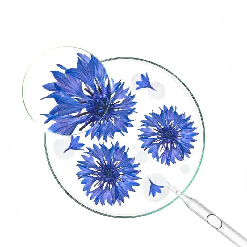 Klorane Gel Crème à l'Eau de Bleuet 50 Ml
