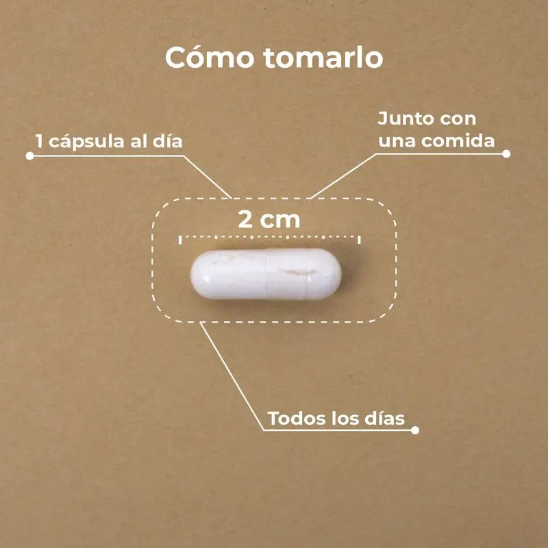 Kobho Labs Supplément de vitamine C liposomale + Reishi, 60 gélules