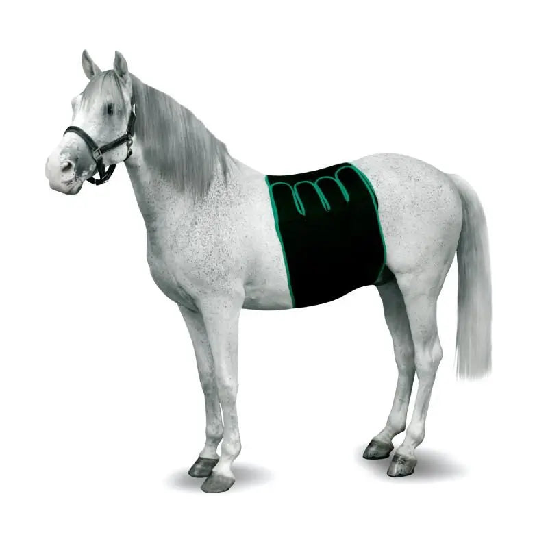 Kruuse Equine Bandage Recovery Size S