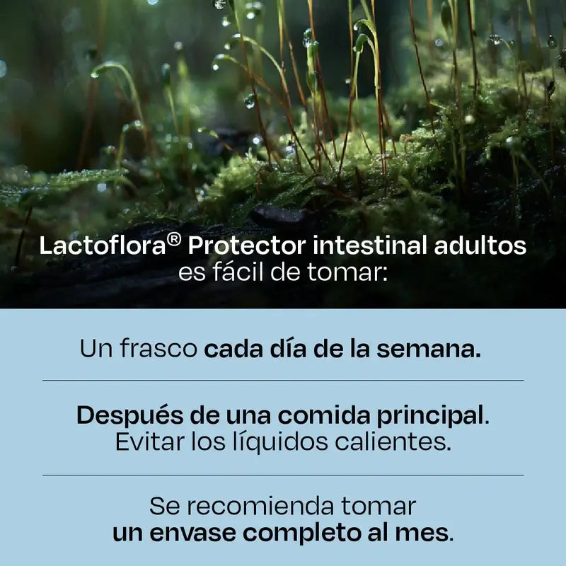 Lactoflora Adultes , 3 x 10 flacons
