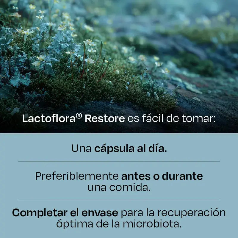 Lactoflora Restore Pack 3 x 20 gélules