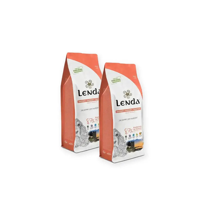 Lenda Chien Adulte Saumon, Lot de 2 x 6 kg