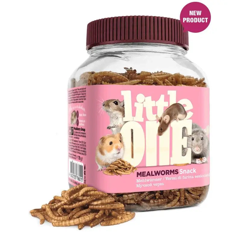 Littleone Snack Flour Worms 6X70Gr