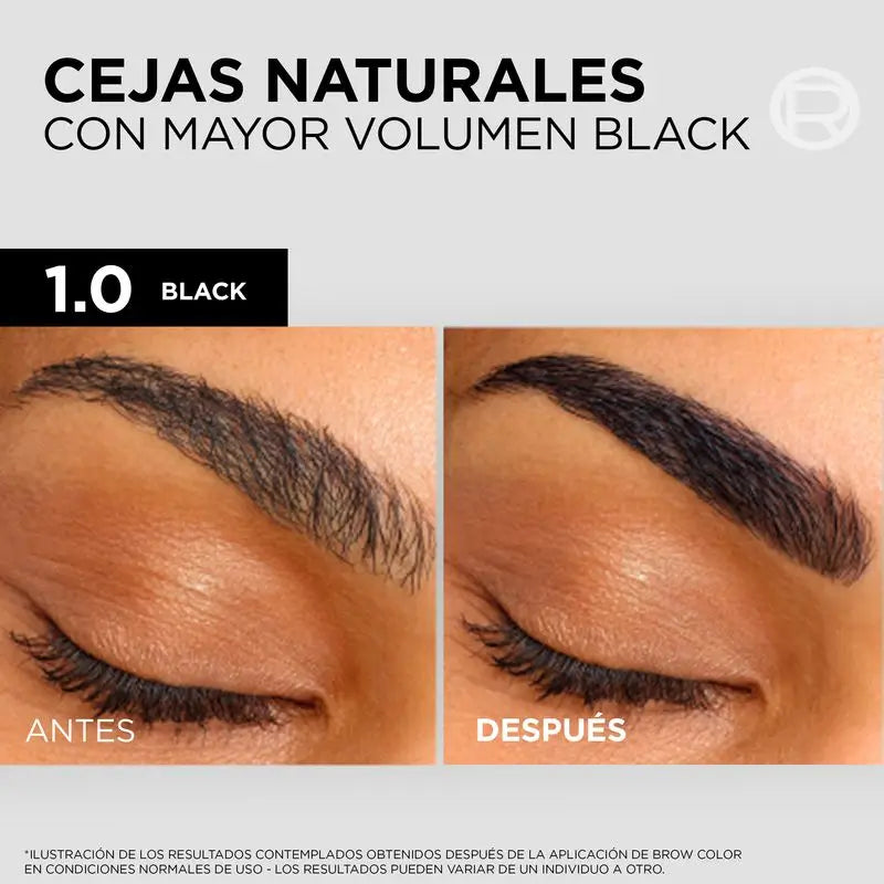 L'Oréal Paris Brow Colour Colorant à sourcils semi-permanent 1.0 noir