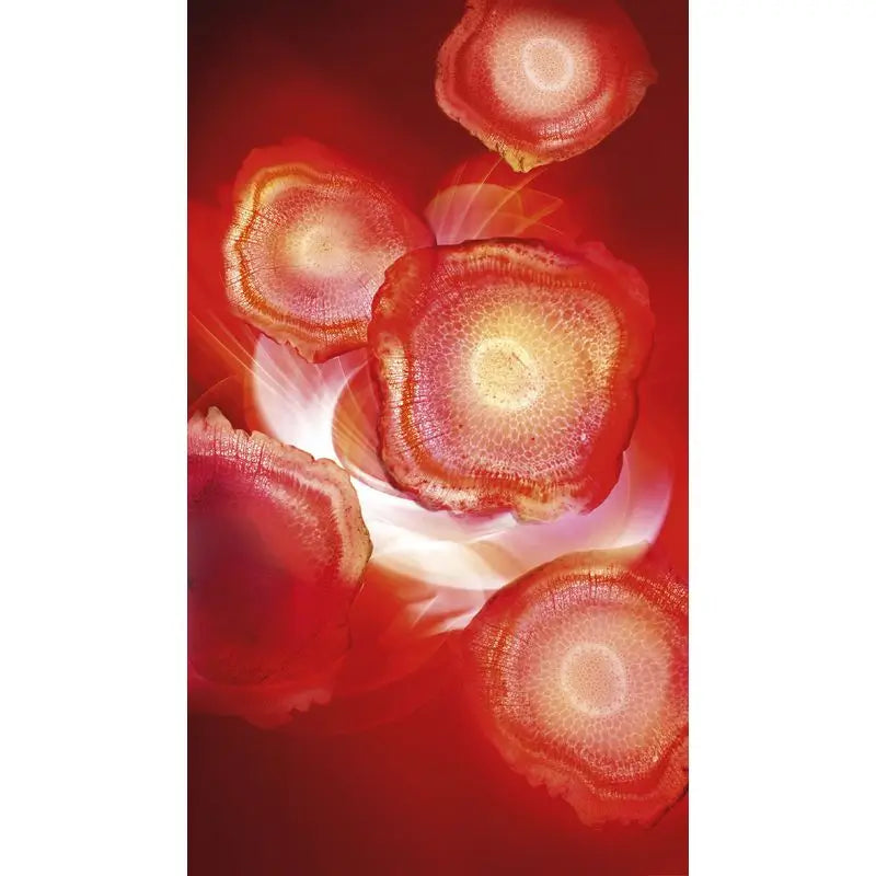 L'Oréal Paris Revitalift Crème de Jour Rouge Energisante - Au Ginseng Rouge - 50 Ml