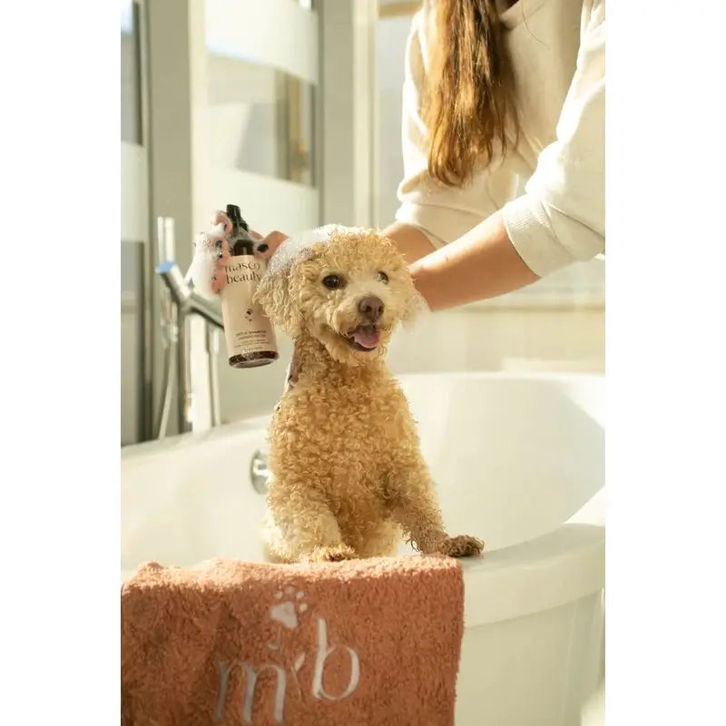 Masco Beauty Shampooing Détox à l'Aloe Vera pour chiens, 250ml