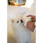 Masco Beauty Nettoyant pour les yeux pour chiens, 30ml
