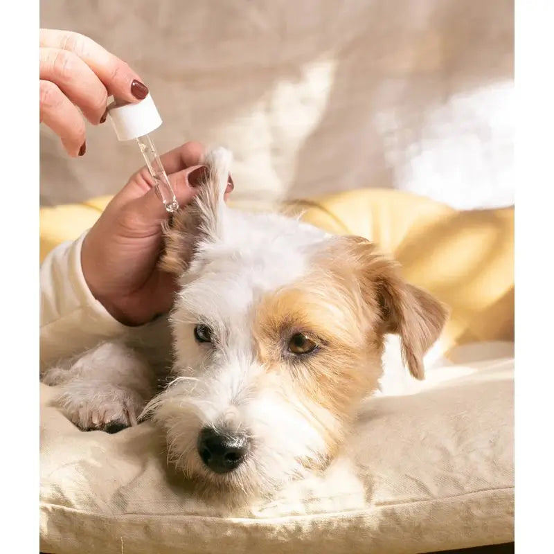 Masco Beauty Nettoyeur d'oreilles pour chiens, 30ml