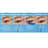 Maybelline New York Hyper Precise Eyeliner Precise Long Wear Waterproof, teinte bleu perroquet