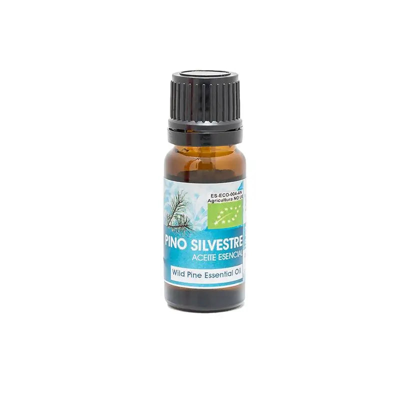 Natura Premium Essential Oil Organic Scots Pine , 10 ml