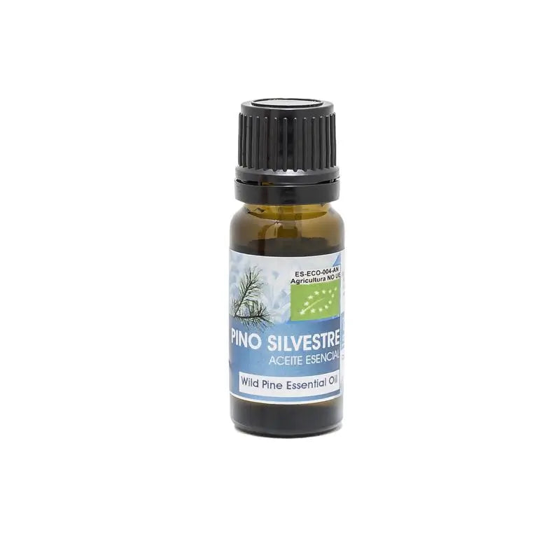 Natura Premium Pine Essential Oil Bio , 30 ml