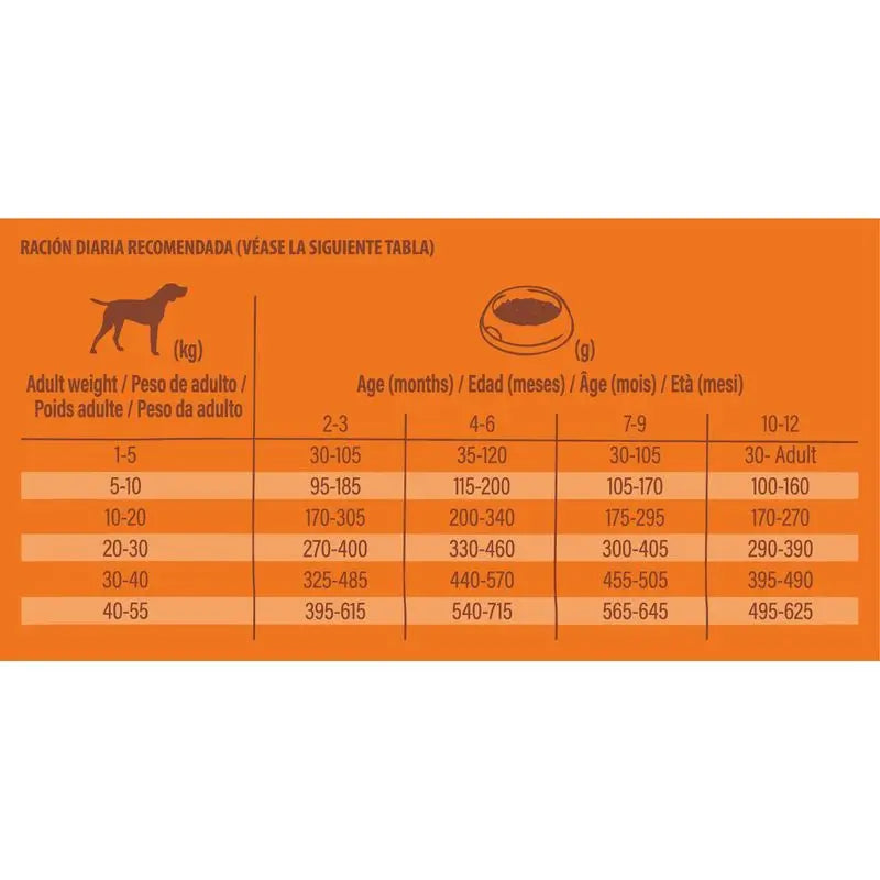 Nature's Variety Canin Puppy Puppy Original No Grain Salmon 2Kg, nourriture pour chien