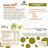 Natursenior Adult Vegetable Cream Légumes mélangés avec Oméga 3 Dha, prébiotiques et protéines. 255 gr