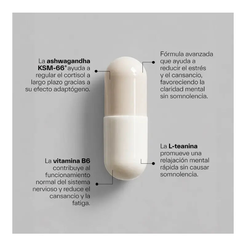 Ndl Pro-Health Ashwagandha Ksm-66 biologique + L-théanine, 120 gélules