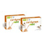 Neo Cordyceps, 60 gélules, lot de 2