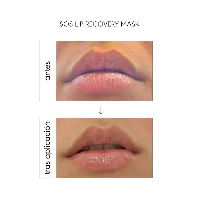Nieves By Nieves Álvarez Lip Perfection Fusion : Masque & Elixir, 20 ml