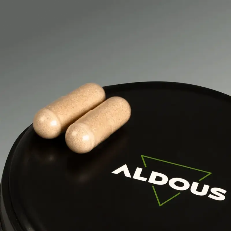 Aldous Labs Nootropic avec Ginkgo Biloba, Crinière de Lion, Caféine, Bacopa, Tyrosine, Théanine, Théanine et Huperzine A