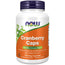 Now Cranberry , 100 capsules