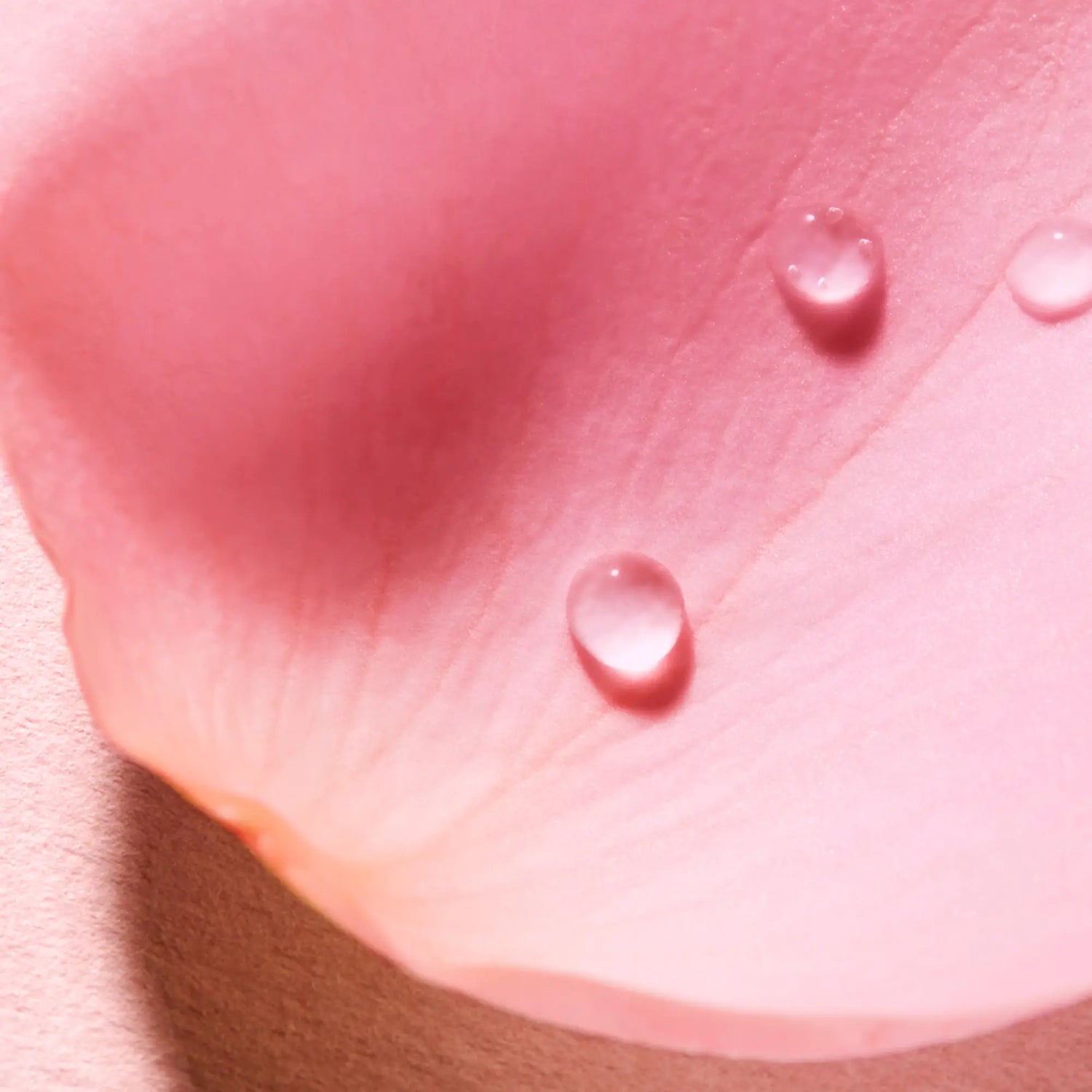Nuxe Very Rose - Eau Voluptueuse Parfumée 100 Ml
