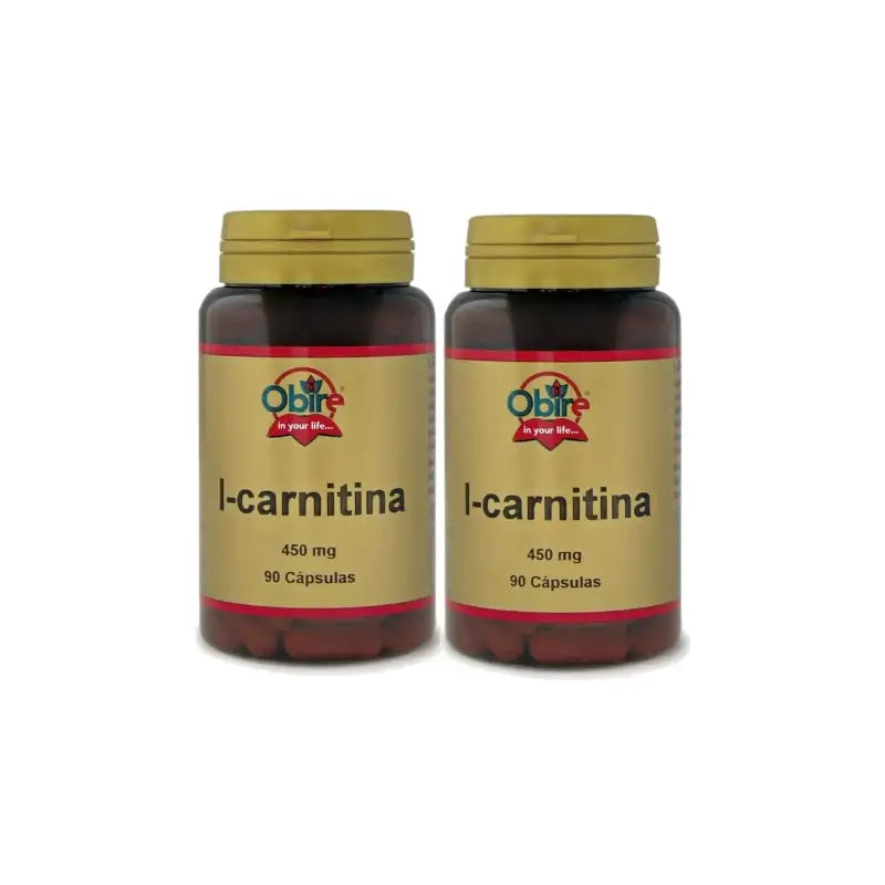 Obire L-Carnitine, lot de 2 x 90 gélules