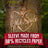 Coffret cadeau pour hommes Old Spice Footballer