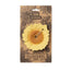 Oli&Carol Sun The Sunflower Teether